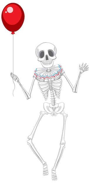 Isolated human skeleton holding red balloon