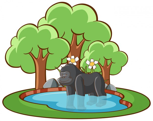 Isolated illustration of gorilla in the pond