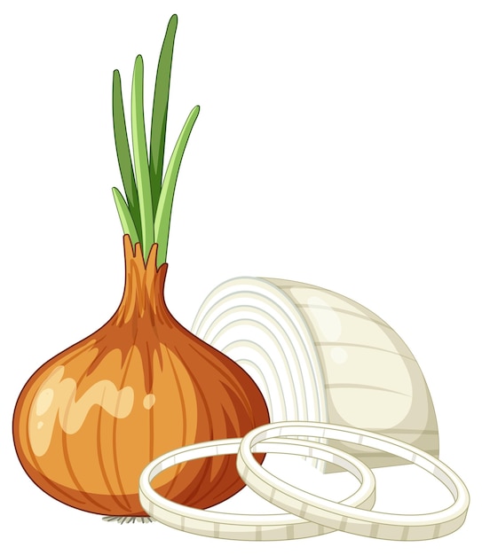 Free Vector isolated onion cartoon style