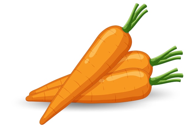 Free Vector isolated orange carrot cartoon