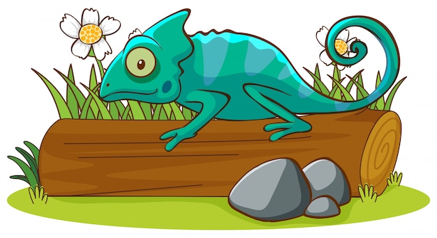 Free vector isolated picture of cameleon in garden