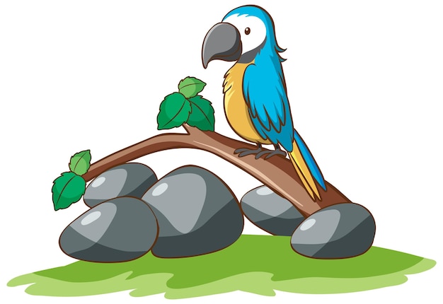 Free Vector isolated picture of cute parrot