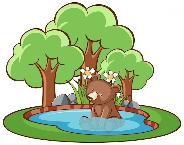 Isolated picture of little bear in the pond