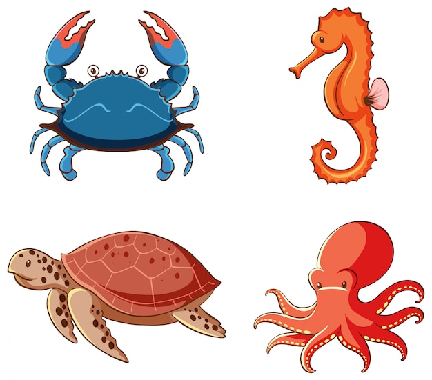 Isolated picture of sea creatures set