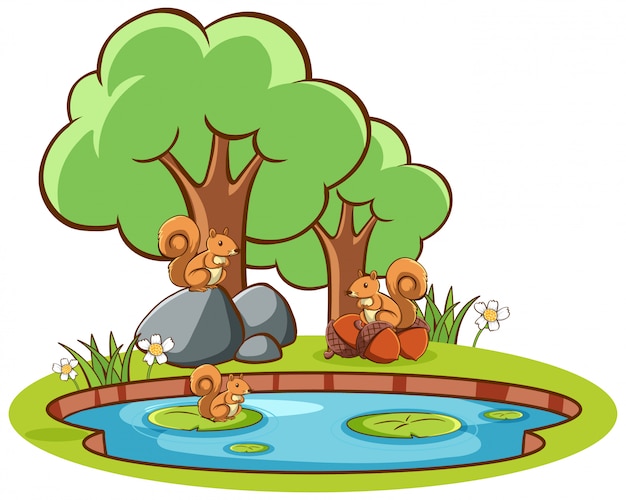 Isolated picture of squirrels by the pond