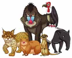 Free vector isolated picture of wild animals