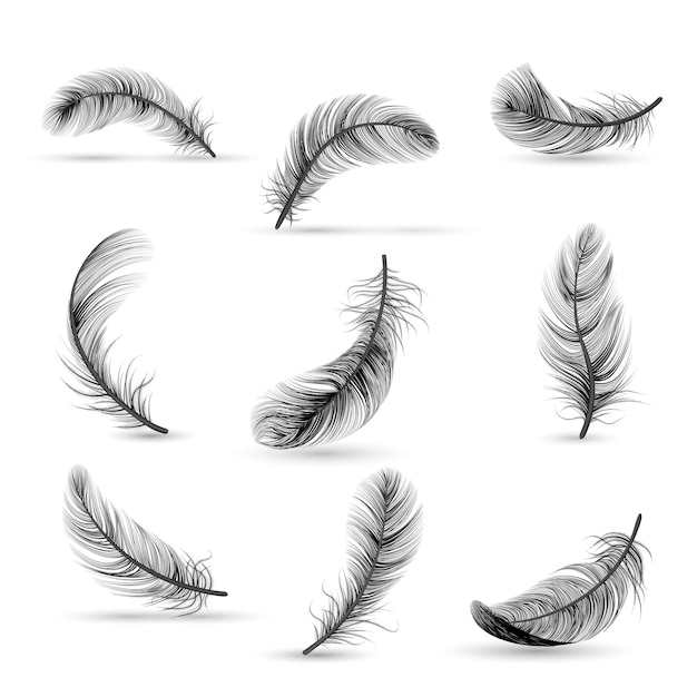 Free Vector isolated and realistic feather black icon set feather slowly falling down