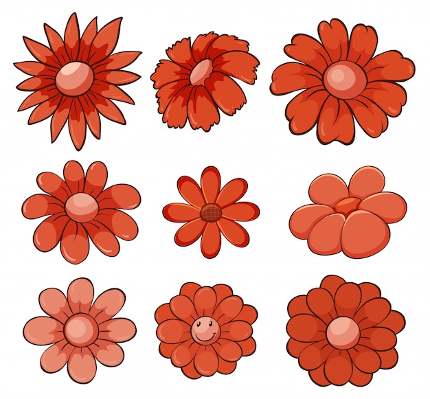 Isolated set of flowers in red 