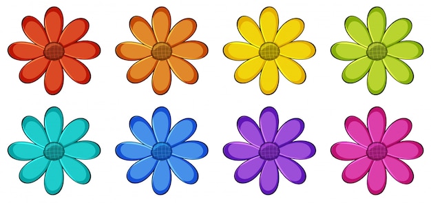 Isolated set of flowers