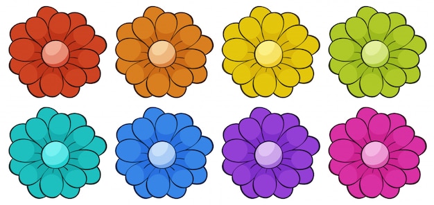 Isolated set of flowers