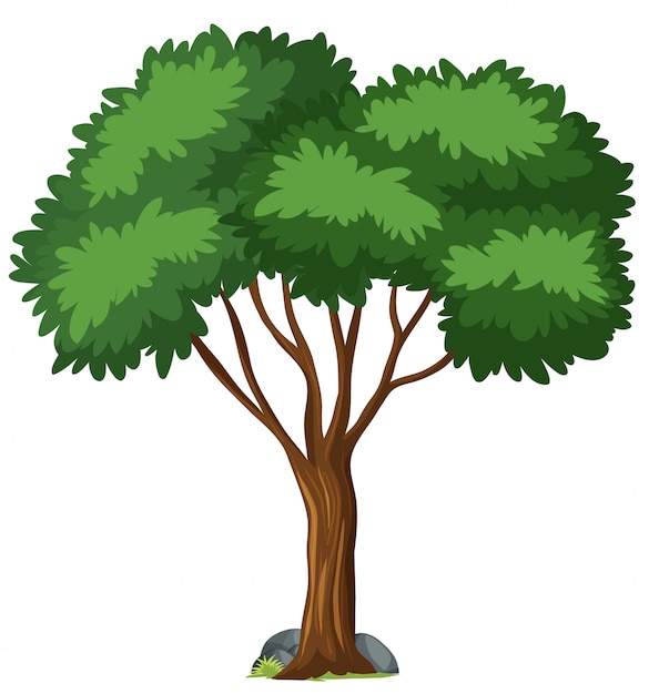 Free Vector isolated tree