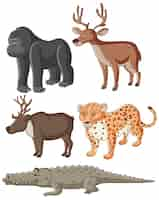 Free vector isolated  wild animals