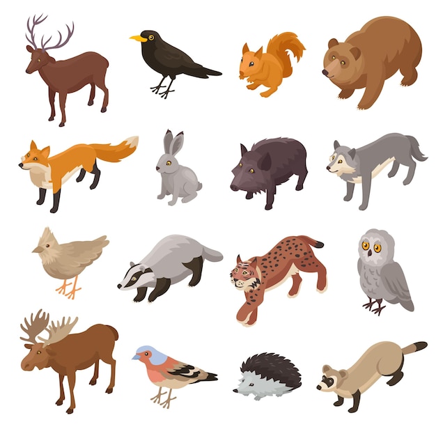 Free Vector isometric forest animals set