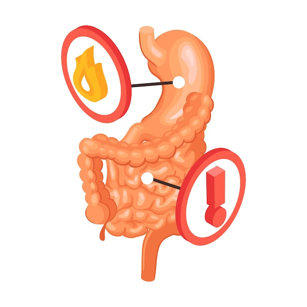 Isometric gastroenterology composition with view of bowels with stomach and caution sign icons illustration