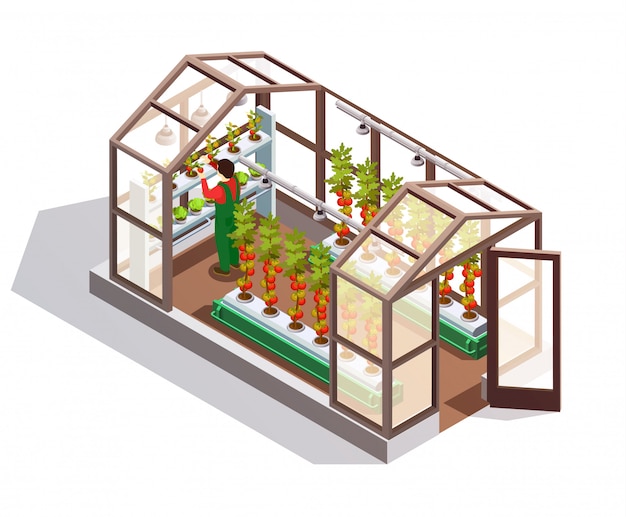 Free Vector isometric greenhouse with glass walls