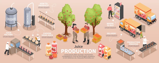 Free vector isometric juice production infographics