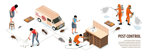 Free Vector isometric pest control service house disinfection infographics with workers insects and rodents 3d vector illustration