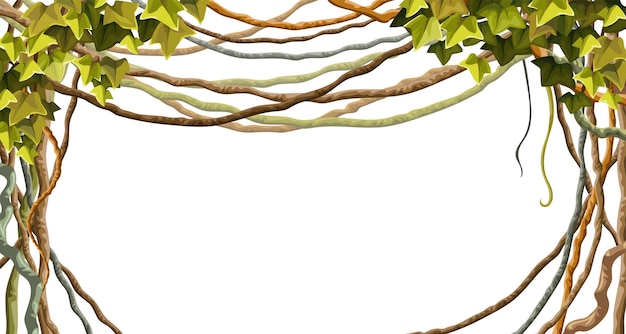 Ivy frame Liana branches and tropical leaves