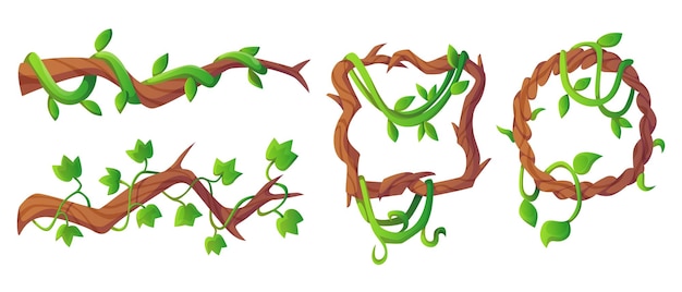 Free vector jungle liana vine long branches and frame