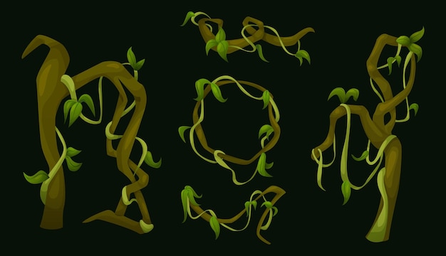 Free vector jungle liana vines with green leaves