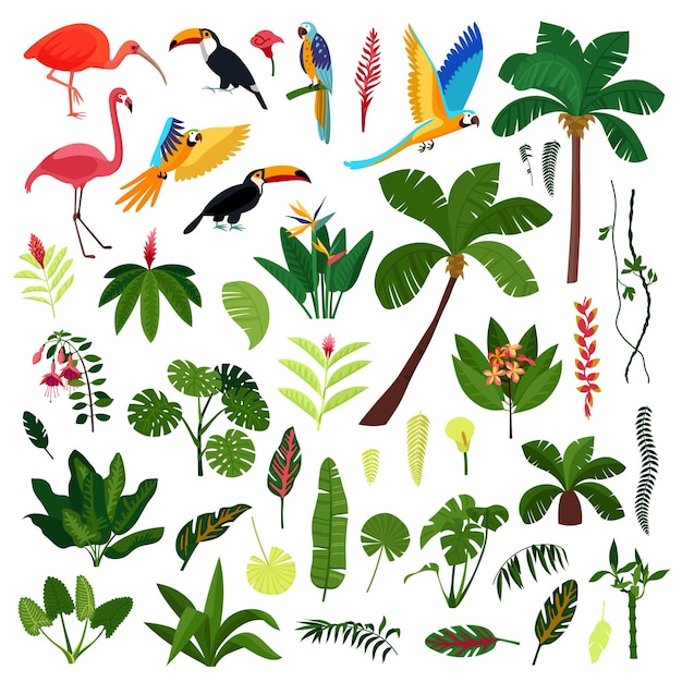 Free Vector jungle plant bird flowers icon set animals and birds palm trees vines with bushes and large leaves vector illustration