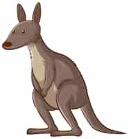 Free vector kangaroo cartoon on white background