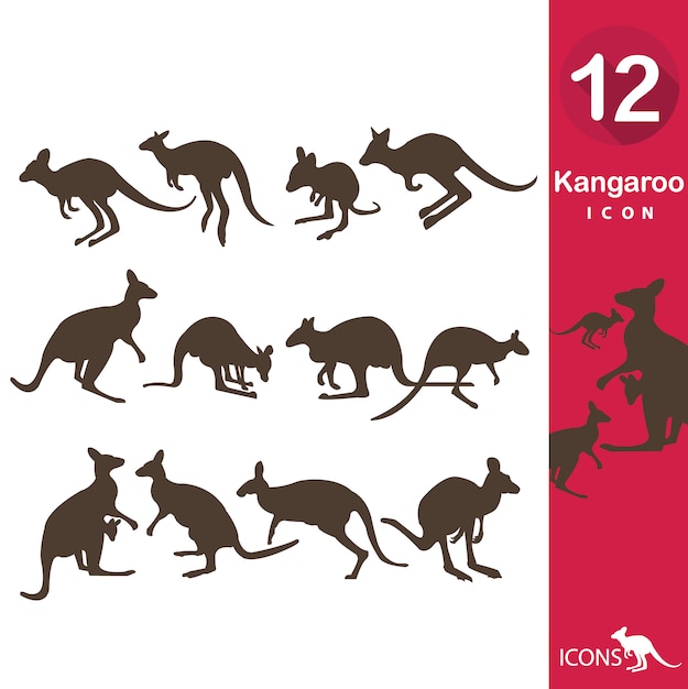 Kangaroo icons collection