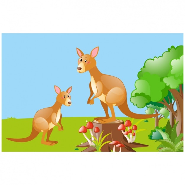 Free Vector kangaroos background design