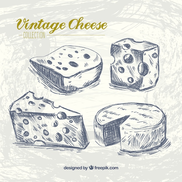 Kind of cheese in retro style 