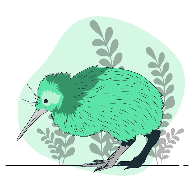 Kiwi bird concept illustration