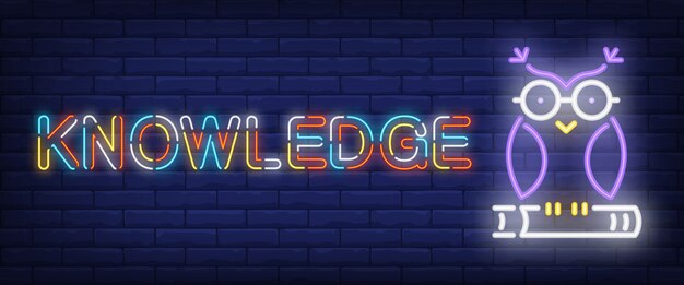 Knowledge neon text with owl on book