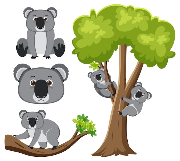 Free vector koala branch and tree vector cartoon illustration