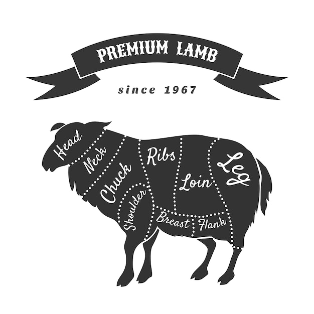 Free Vector lamb cuts for butcher shop poster.