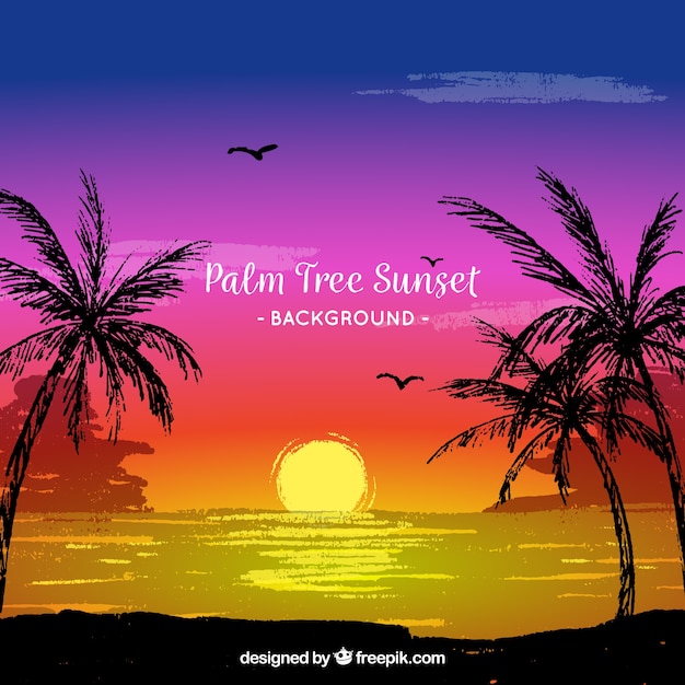 Landscape background at sunset with palm trees