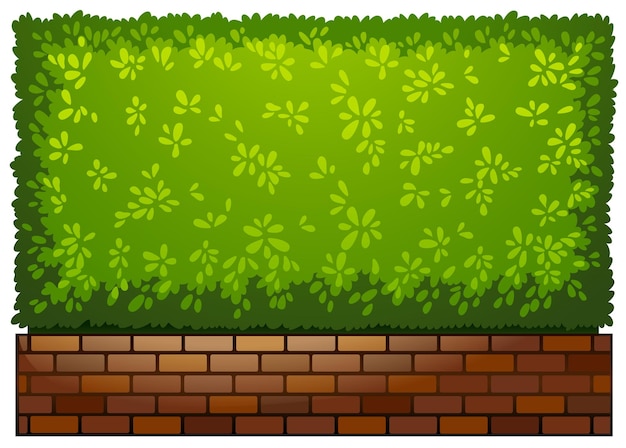 Free vector a landscaping green plant