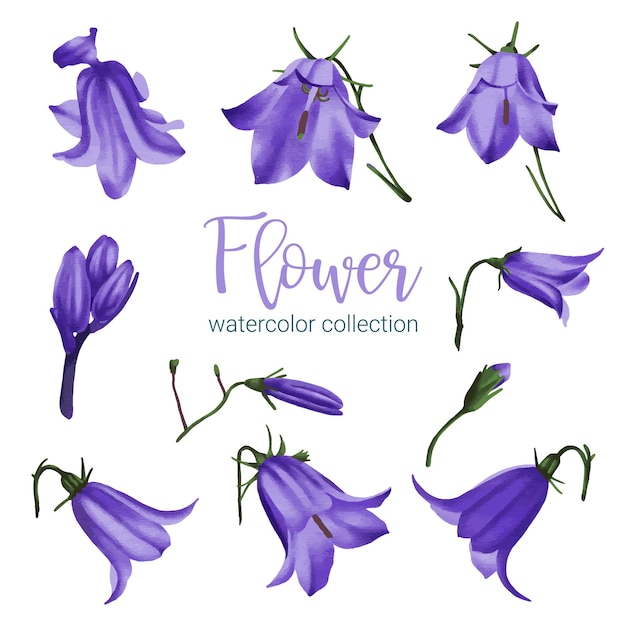 Free Vector large botanical set of wild flowers set of separate parts and bring together to beautiful bouquet of flowers in water colors style on white background flat vector illustration