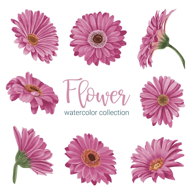 Free Vector large botanical set of wild flowers set of separate parts and bring together to beautiful bouquet of flowers in water colors style on white background flat vector illustration