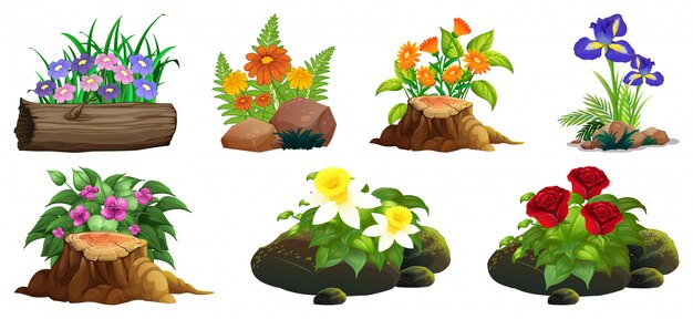 Large set of colorful flowers on rocks and wood