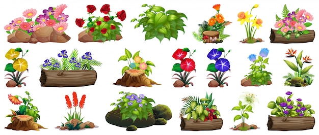 Free Vector large set of colorful flowers on rocks and wood