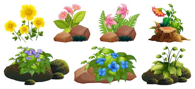 Free Vector large set of colorful flowers on rocks and wood