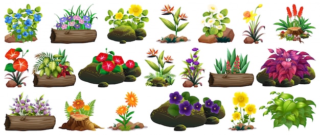 Free vector large set of colorful flowers on rocks and wood