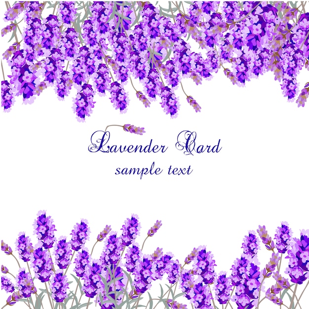 Lavender card template