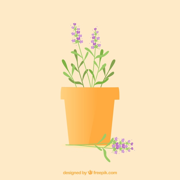 Free Vector lavender flower