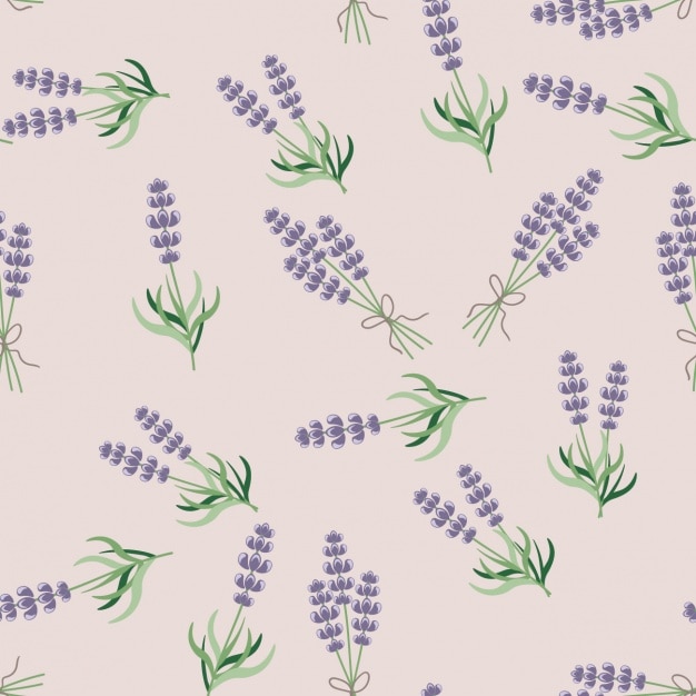 Lavender seamless pattern