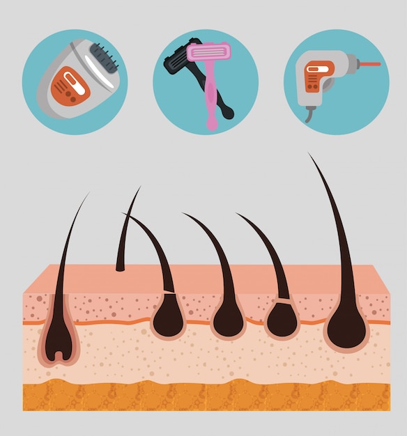 Free Vector layers skin structure with hair removal elements