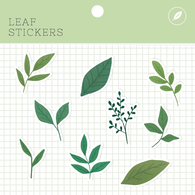 Leaf stickers package