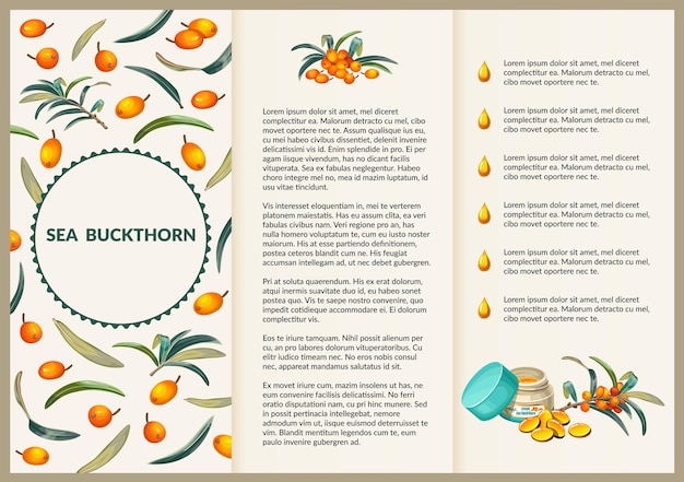 Leaflet sea buckthorn folding paper flyer.