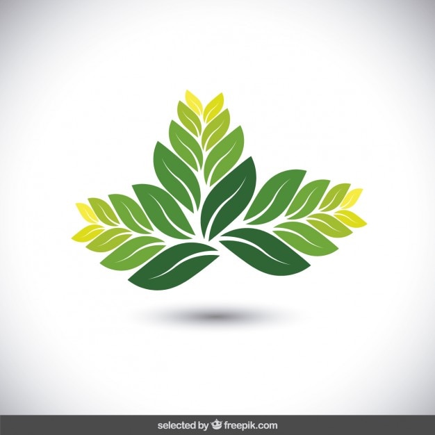 Free Vector leaves eco logo