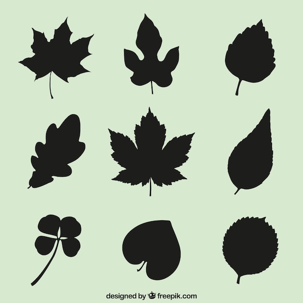 Free vector leaves silhouettes