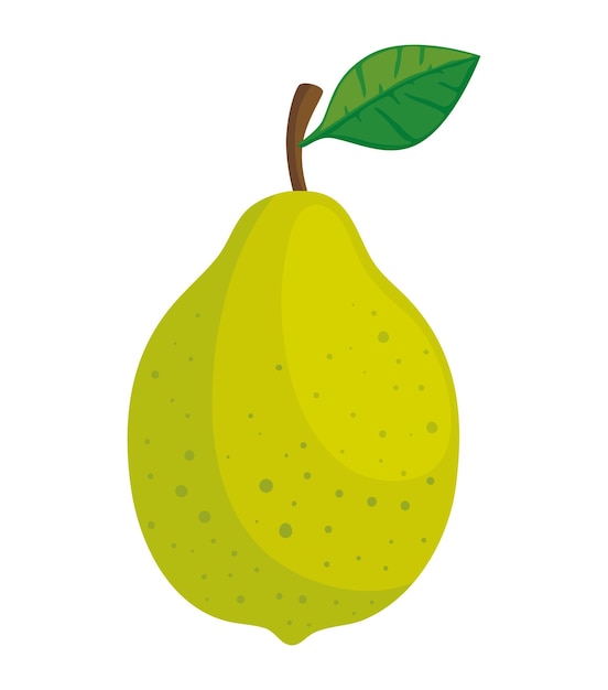 lemon fruit fresh organic icon isolated